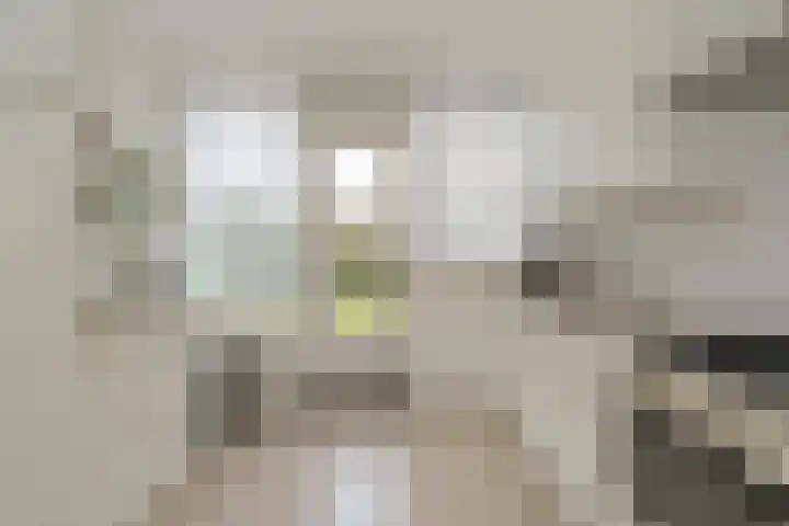 Nederhorst 15 Almelo thumbnail 10