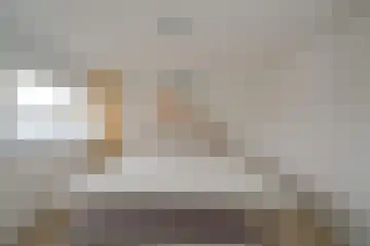 Nederhorst 15 Almelo thumbnail 14