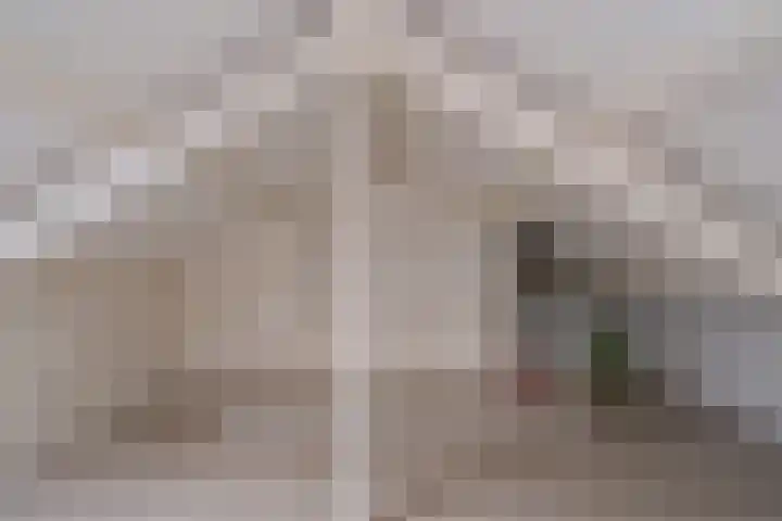 Nederhorst 15 Almelo thumbnail 23