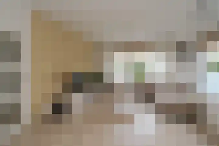 Nederhorst 15 Almelo thumbnail 4