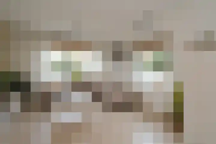 Nederhorst 15 Almelo thumbnail 5
