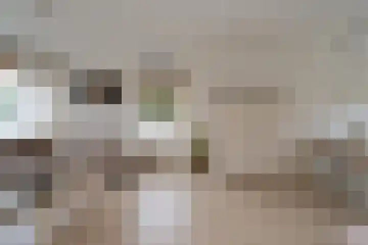 Nederhorst 15 Almelo thumbnail 6