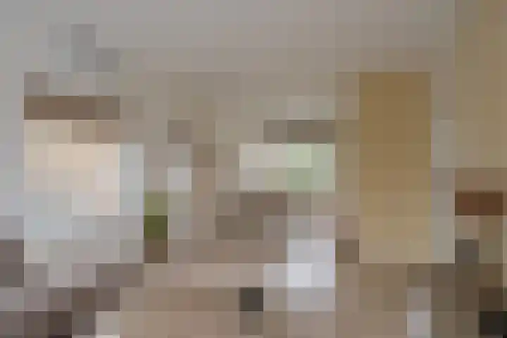 Nederhorst 15 Almelo thumbnail 7