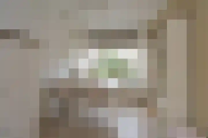 Nederhorst 15 Almelo thumbnail 8