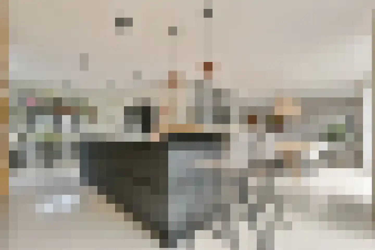 Nederhoven 29 Amsterdam thumbnail 11