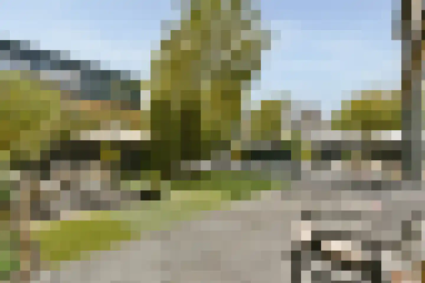 Nederhoven 29 Amsterdam thumbnail 17
