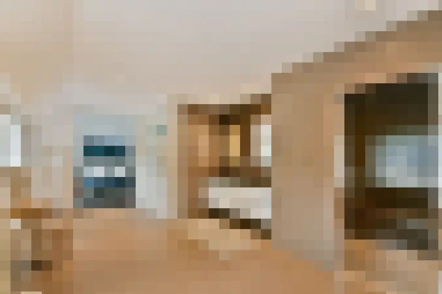 Nederhoven 29 Amsterdam thumbnail 27