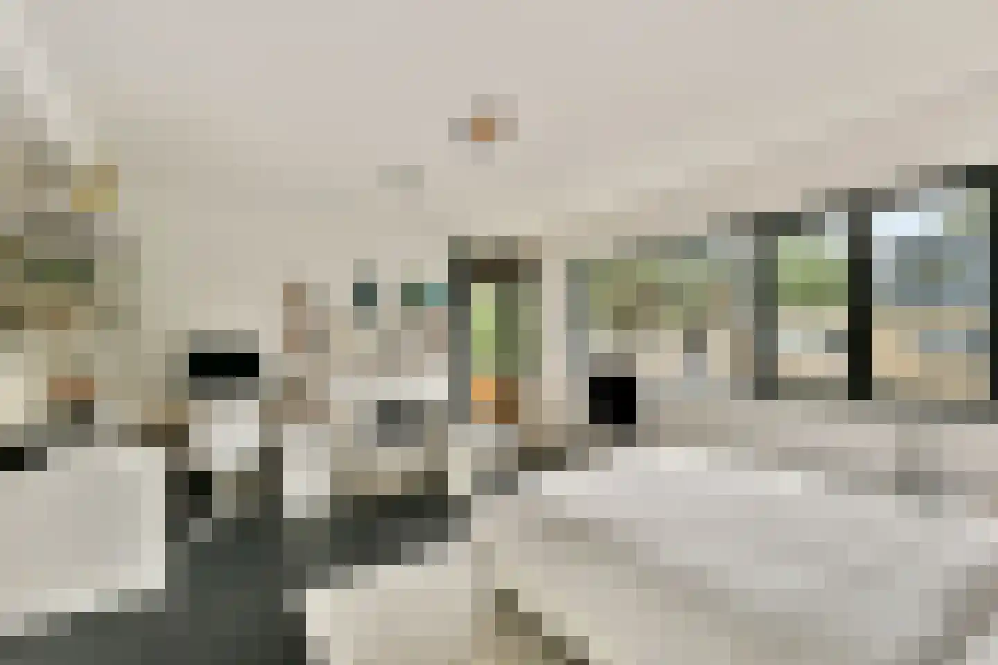 Nederhoven 29 Amsterdam thumbnail 33