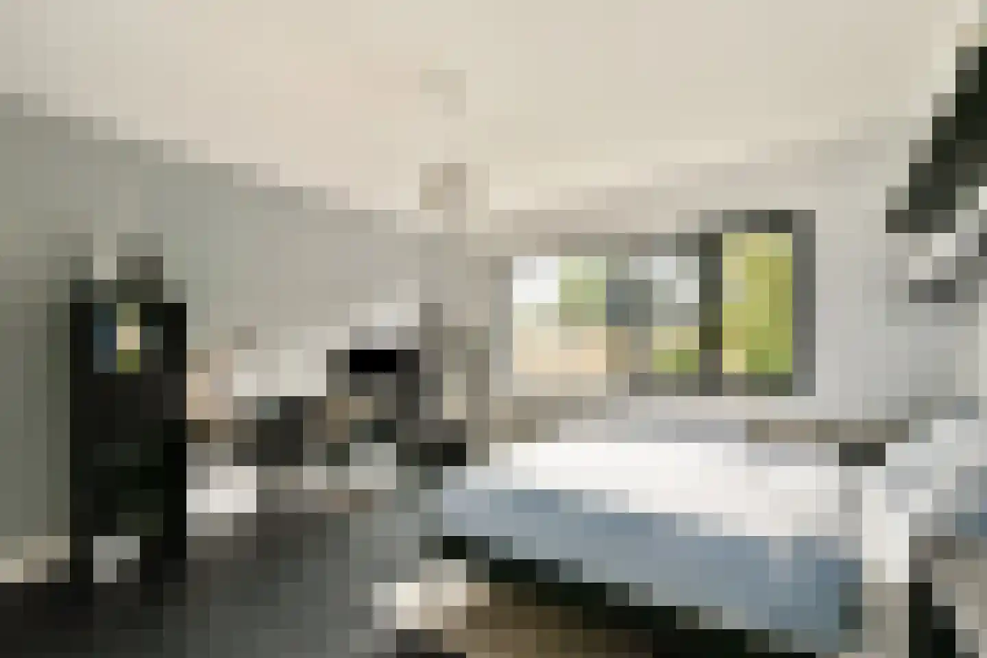 Nederhoven 29 Amsterdam thumbnail 35