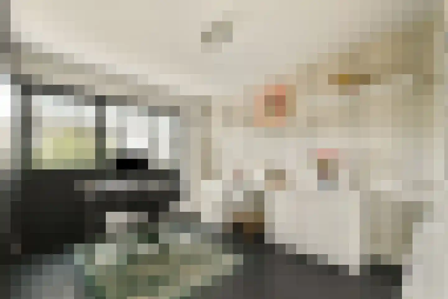 Nederhoven 29 Amsterdam thumbnail 36