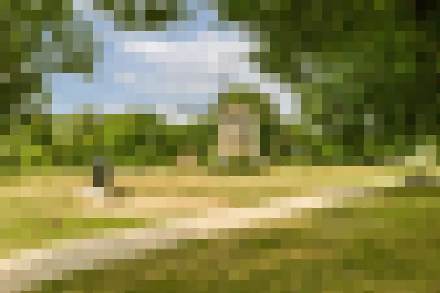 Nederhoven 29 Amsterdam thumbnail 50
