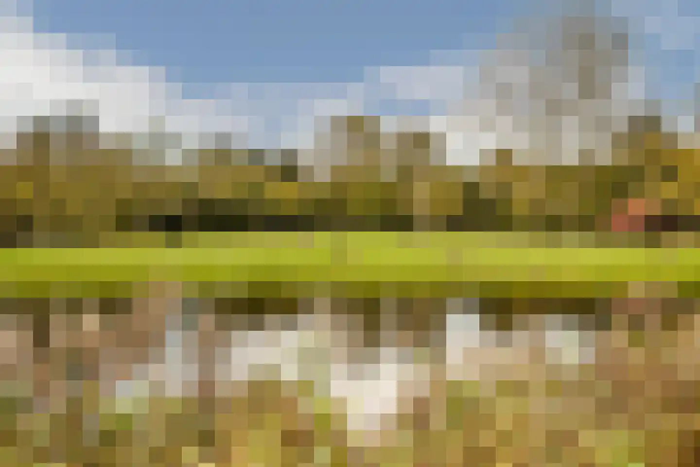 Nederhoven 29 Amsterdam thumbnail 52