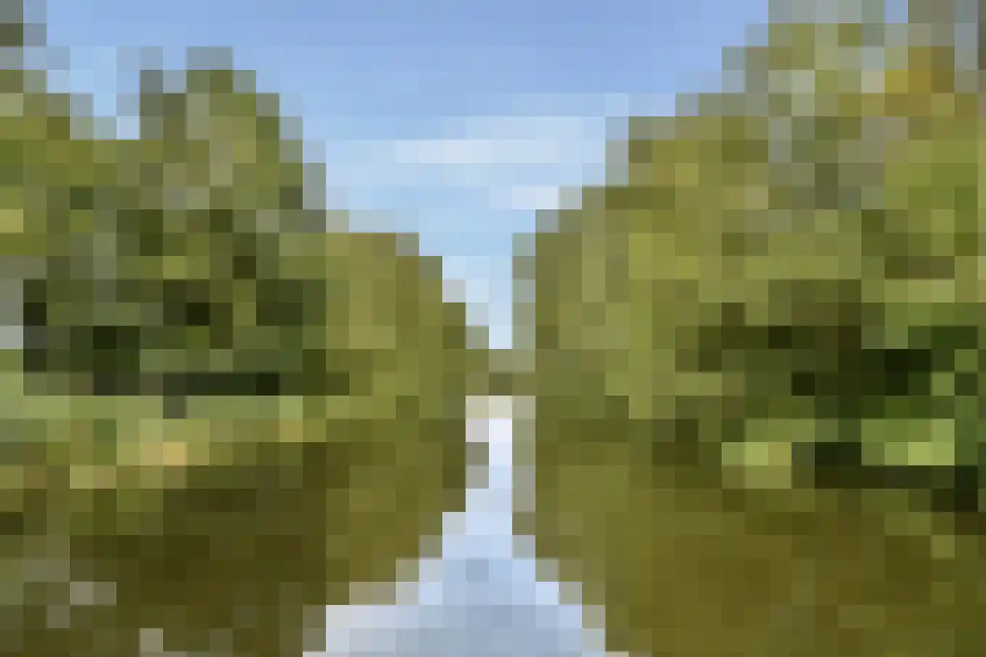 Nederhoven 29 Amsterdam thumbnail 53