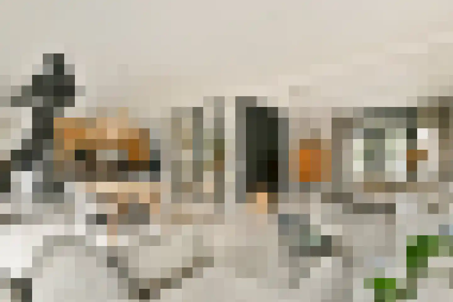 Nederhoven 29 Amsterdam thumbnail 9