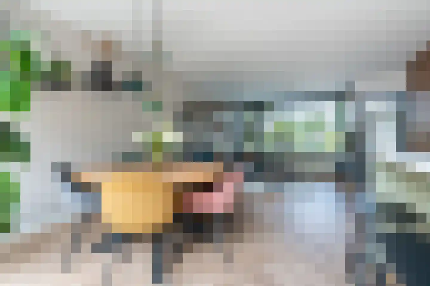 Nederhoven 3 Eindhoven thumbnail 12