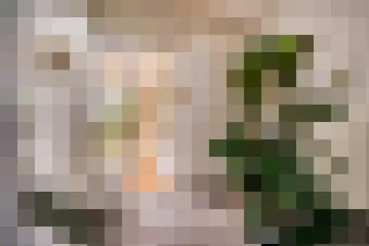 Nederhoven 31 Amsterdam thumbnail 19
