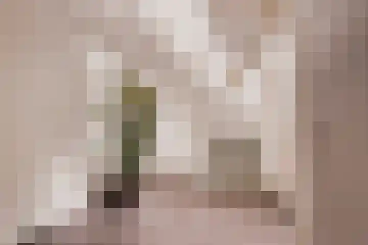 Nederhoven 31 Amsterdam thumbnail 20
