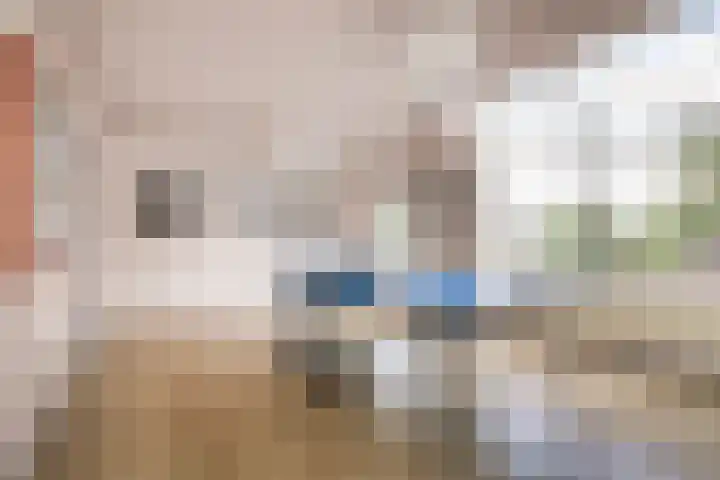 Nederhoven 31 Amsterdam thumbnail 33