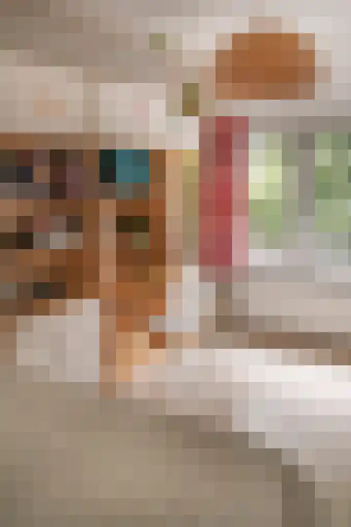 Nederhoven 31 Amsterdam thumbnail 36