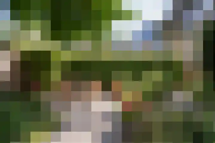 Nederhoven 31 Amsterdam thumbnail 41