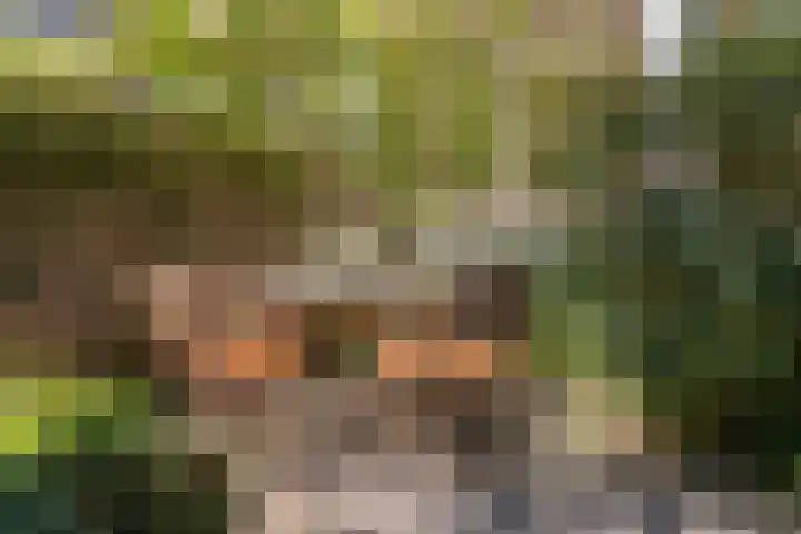 Nederhoven 31 Amsterdam thumbnail 44
