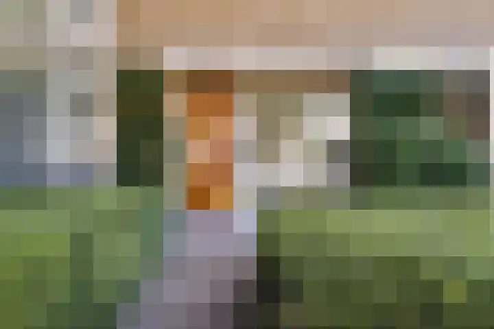 Nederhoven 31 Amsterdam thumbnail 45