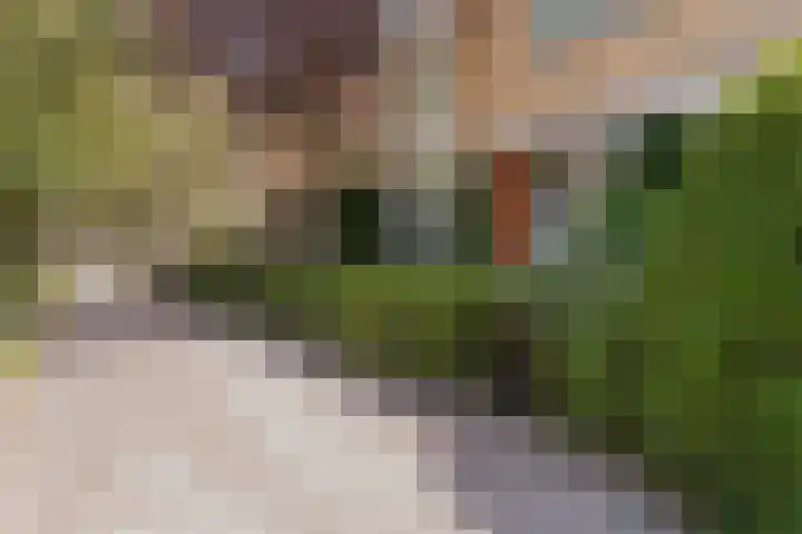 Nederhoven 31 Amsterdam thumbnail 46