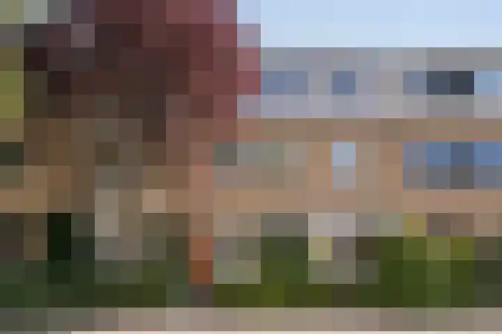 Nederhoven 31 Amsterdam thumbnail 47