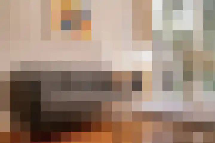 Nederhoven 31 Amsterdam thumbnail 5