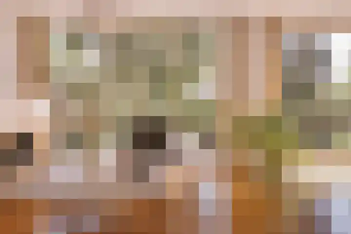 Nederhoven 31 Amsterdam thumbnail 6