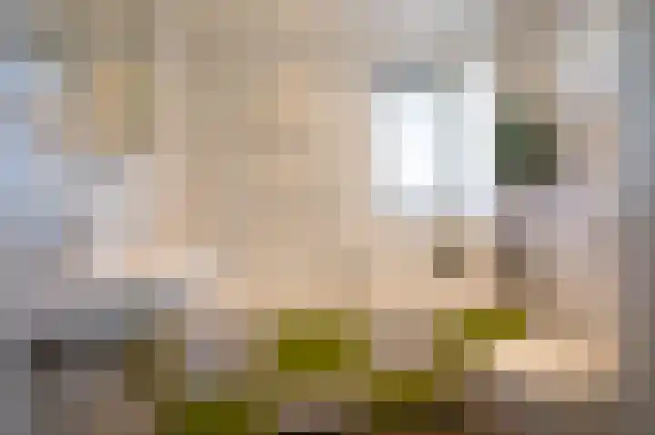 Nederhoven 34 Ouderkerk aan de Amstel thumbnail 22