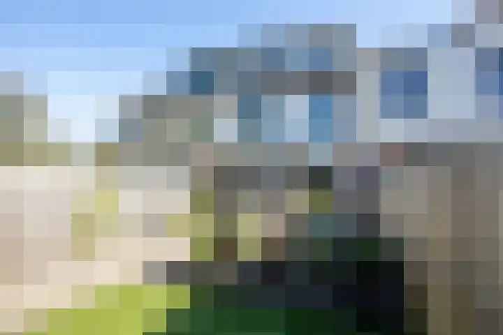 Nederhoven 34 Ouderkerk aan de Amstel thumbnail 4