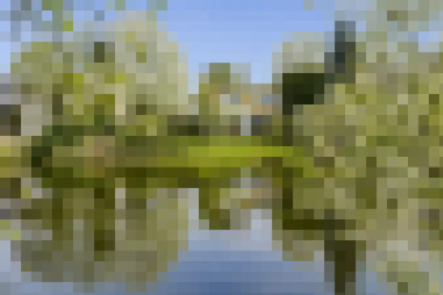 Nederhoven 41 Amsterdam