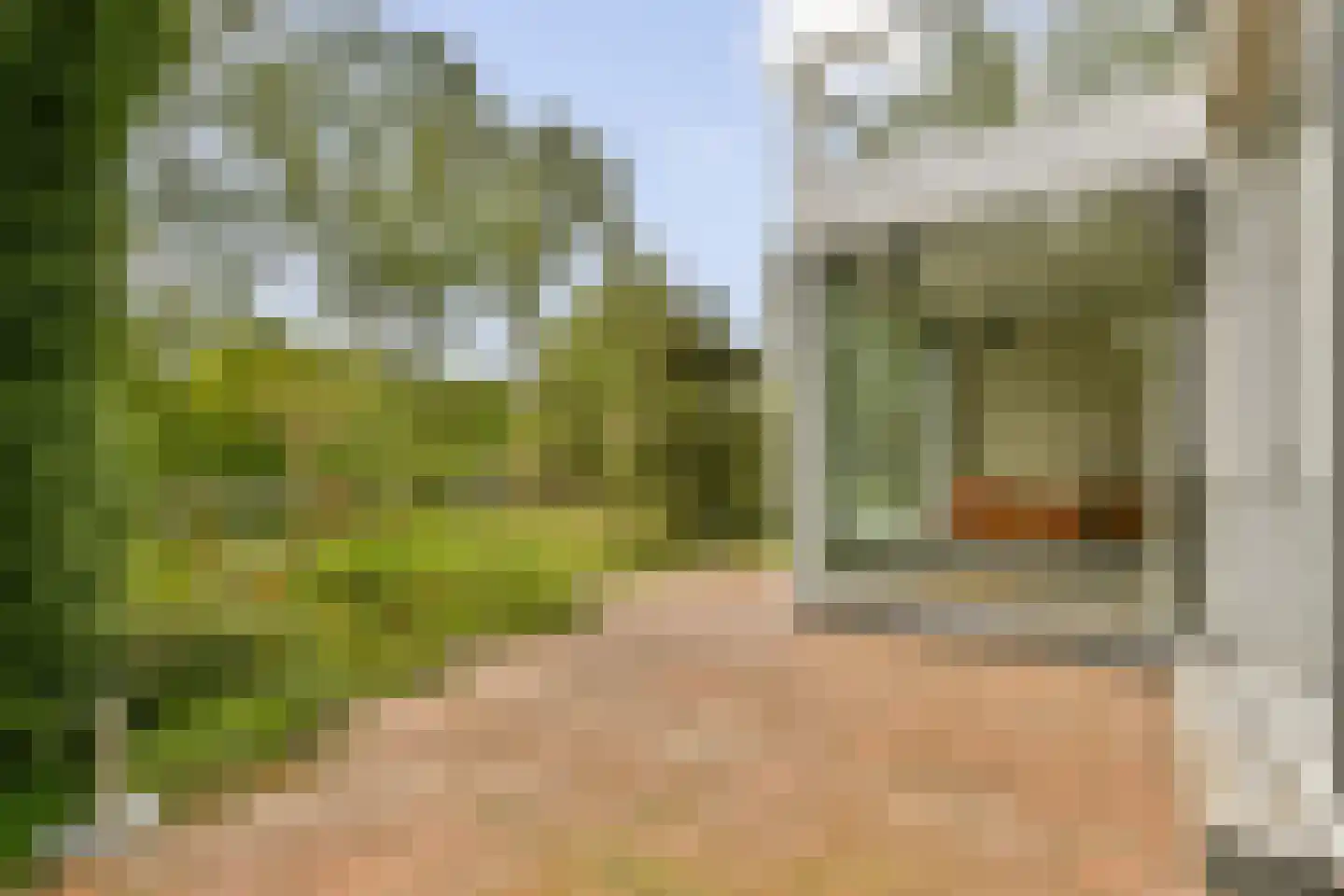 Nederhoven 41 Amsterdam thumbnail 16