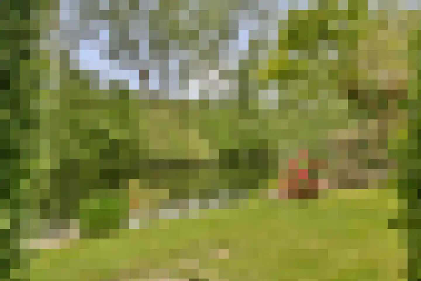 Nederhoven 41 Amsterdam thumbnail 17