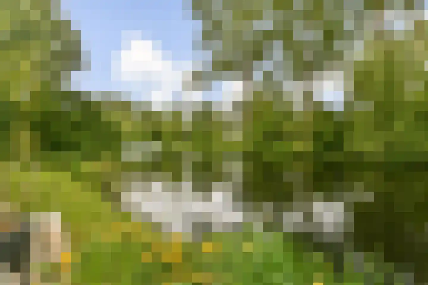 Nederhoven 41 Amsterdam thumbnail 18