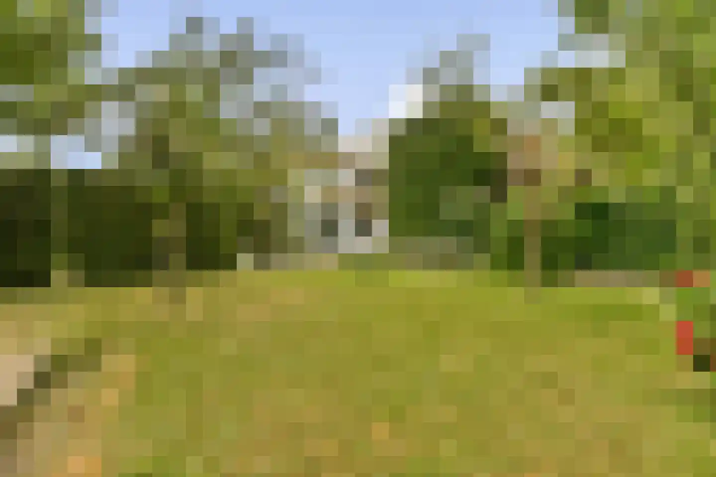 Nederhoven 41 Amsterdam thumbnail 19
