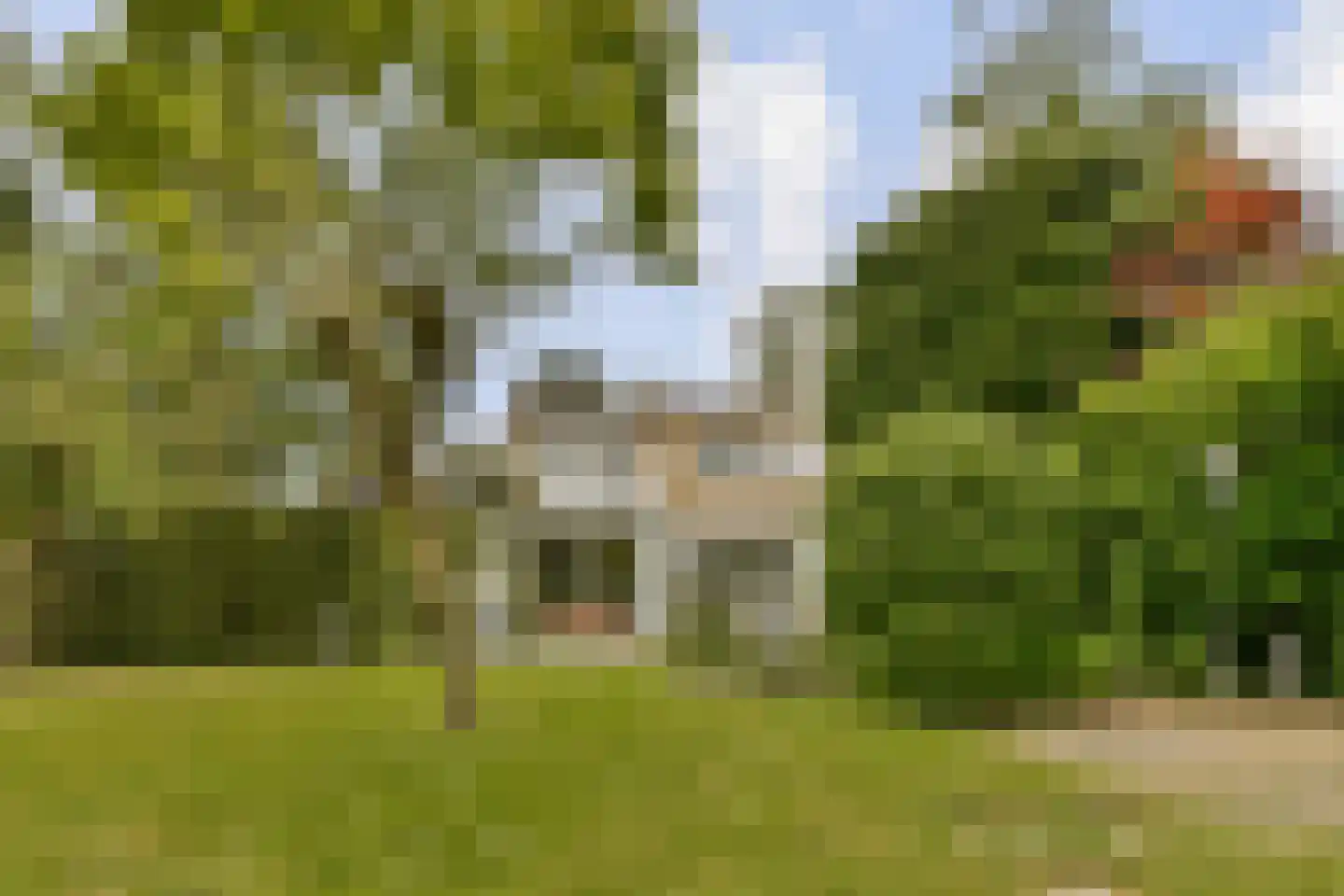 Nederhoven 41 Amsterdam thumbnail 20