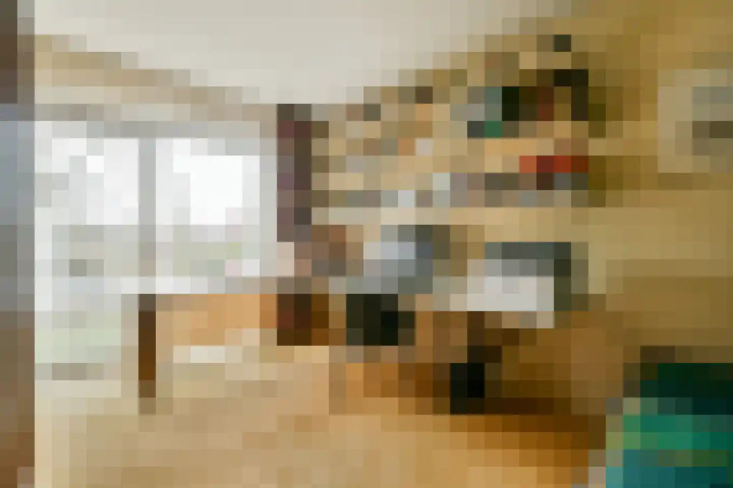 Nederhoven 41 Amsterdam thumbnail 24