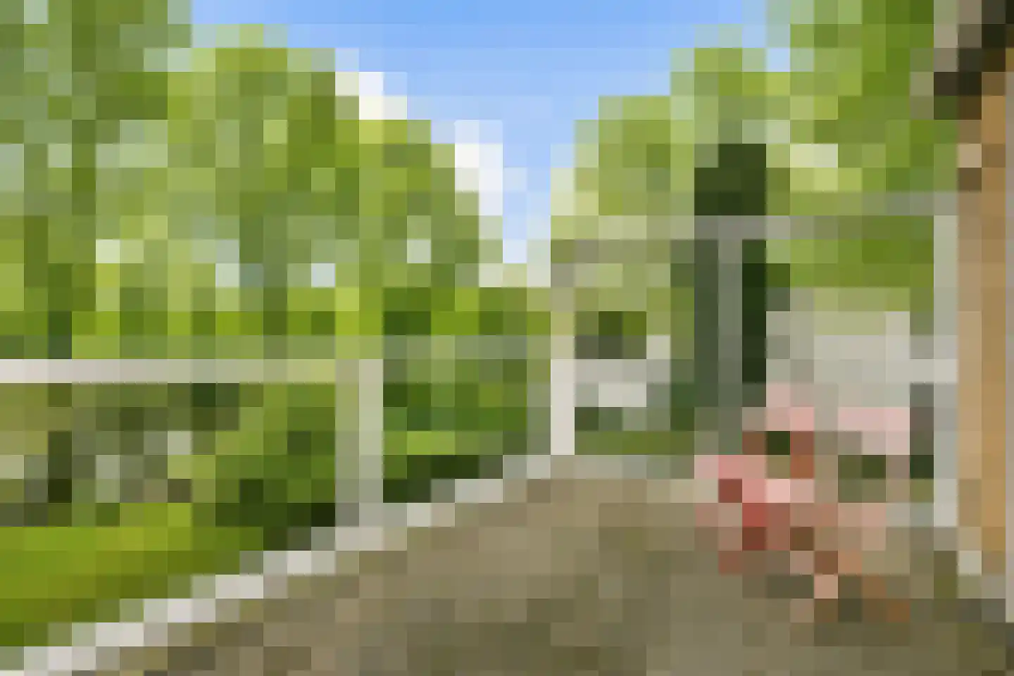 Nederhoven 41 Amsterdam thumbnail 28