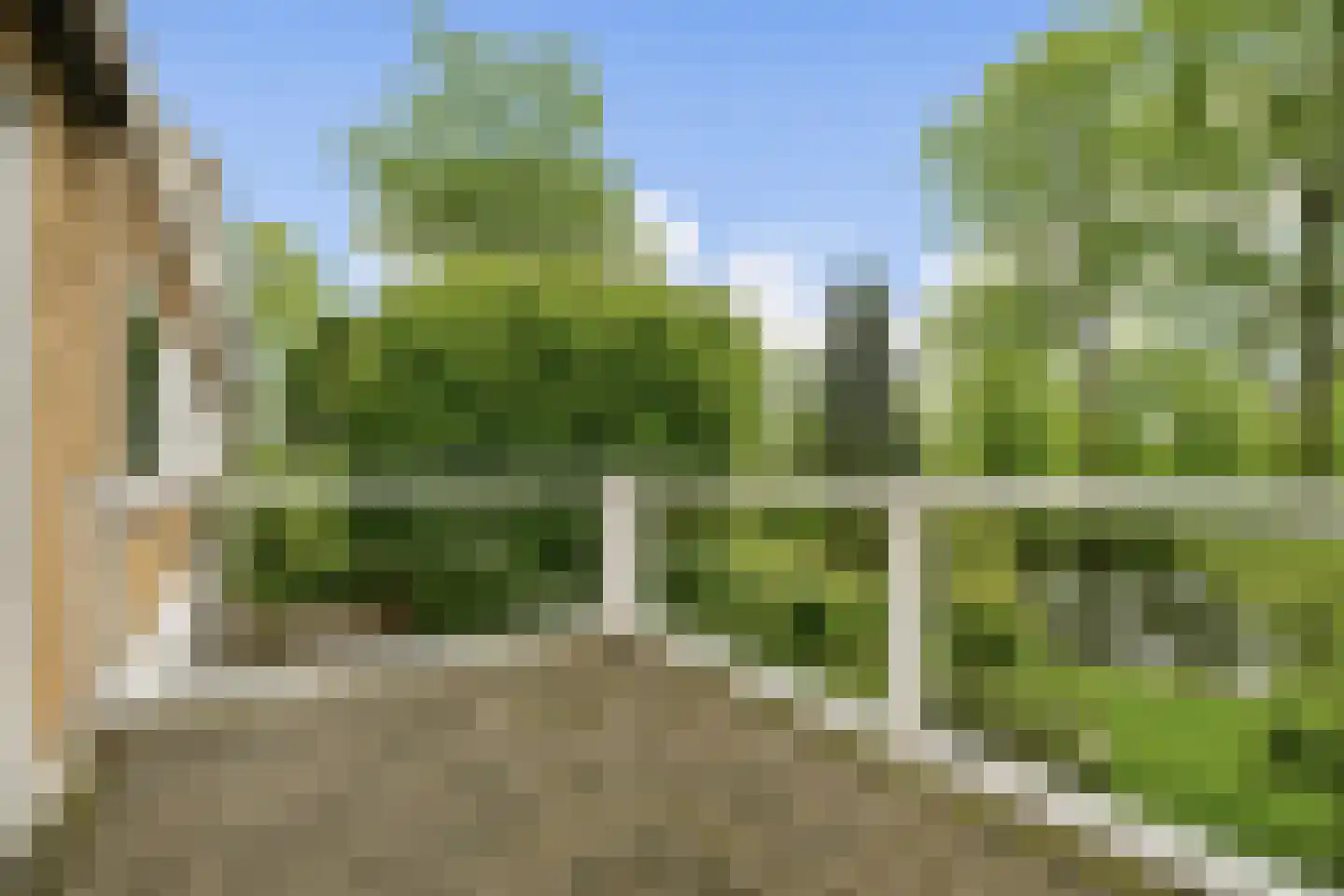 Nederhoven 41 Amsterdam thumbnail 29