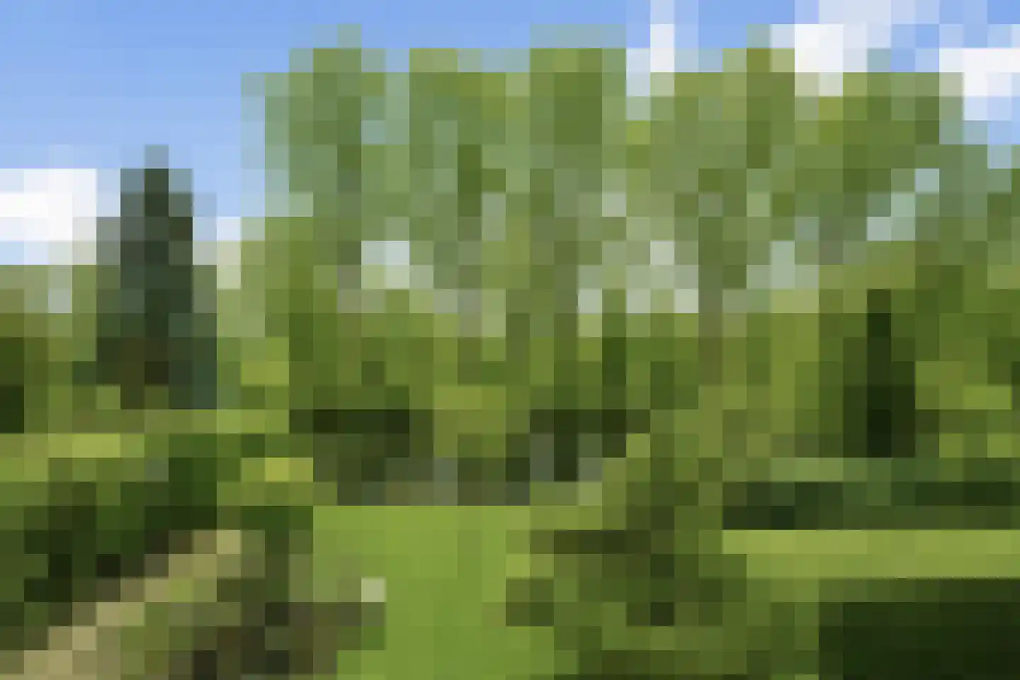 Nederhoven 41 Amsterdam thumbnail 31