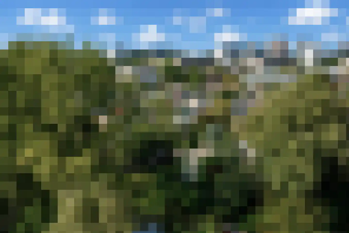 Nederhoven 41 Amsterdam thumbnail 38