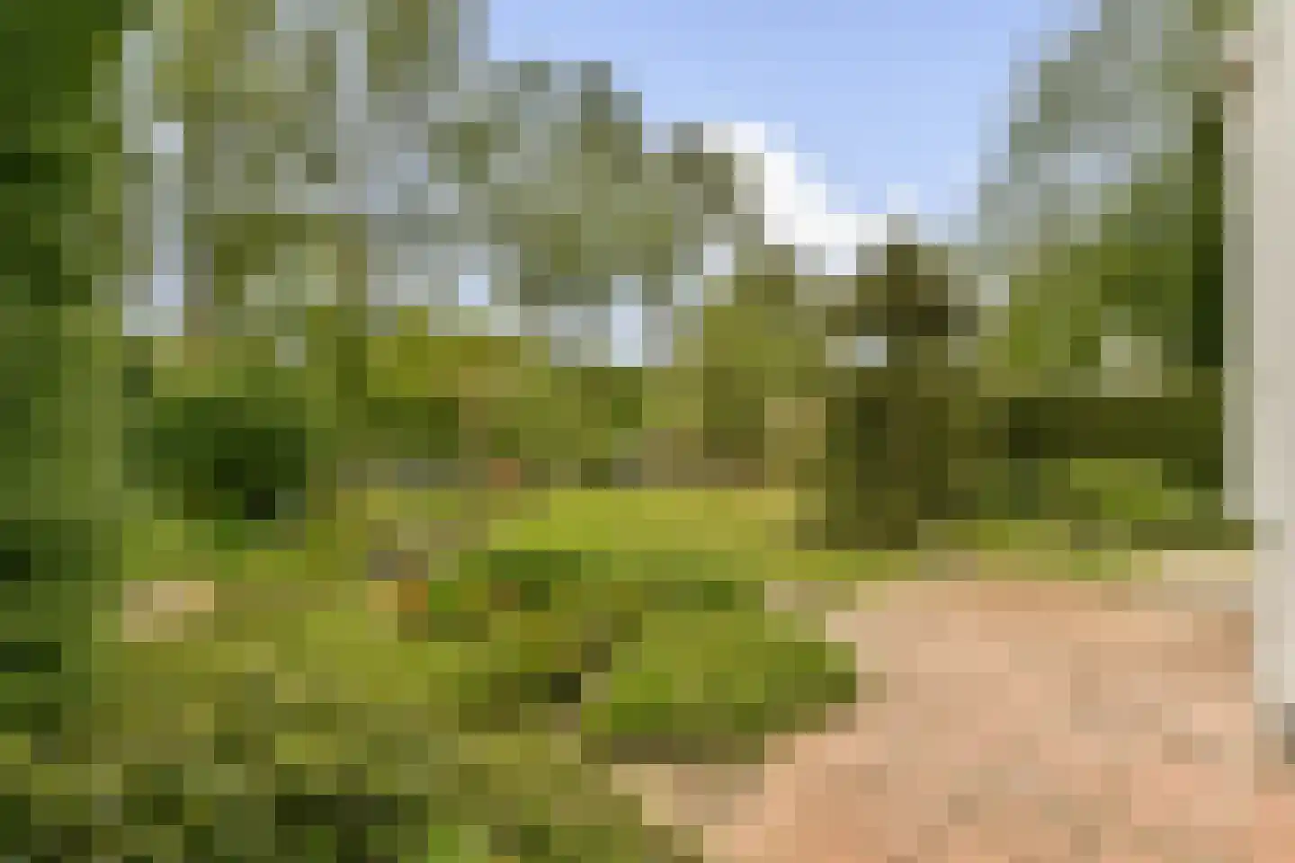Nederhoven 41 Amsterdam thumbnail 4