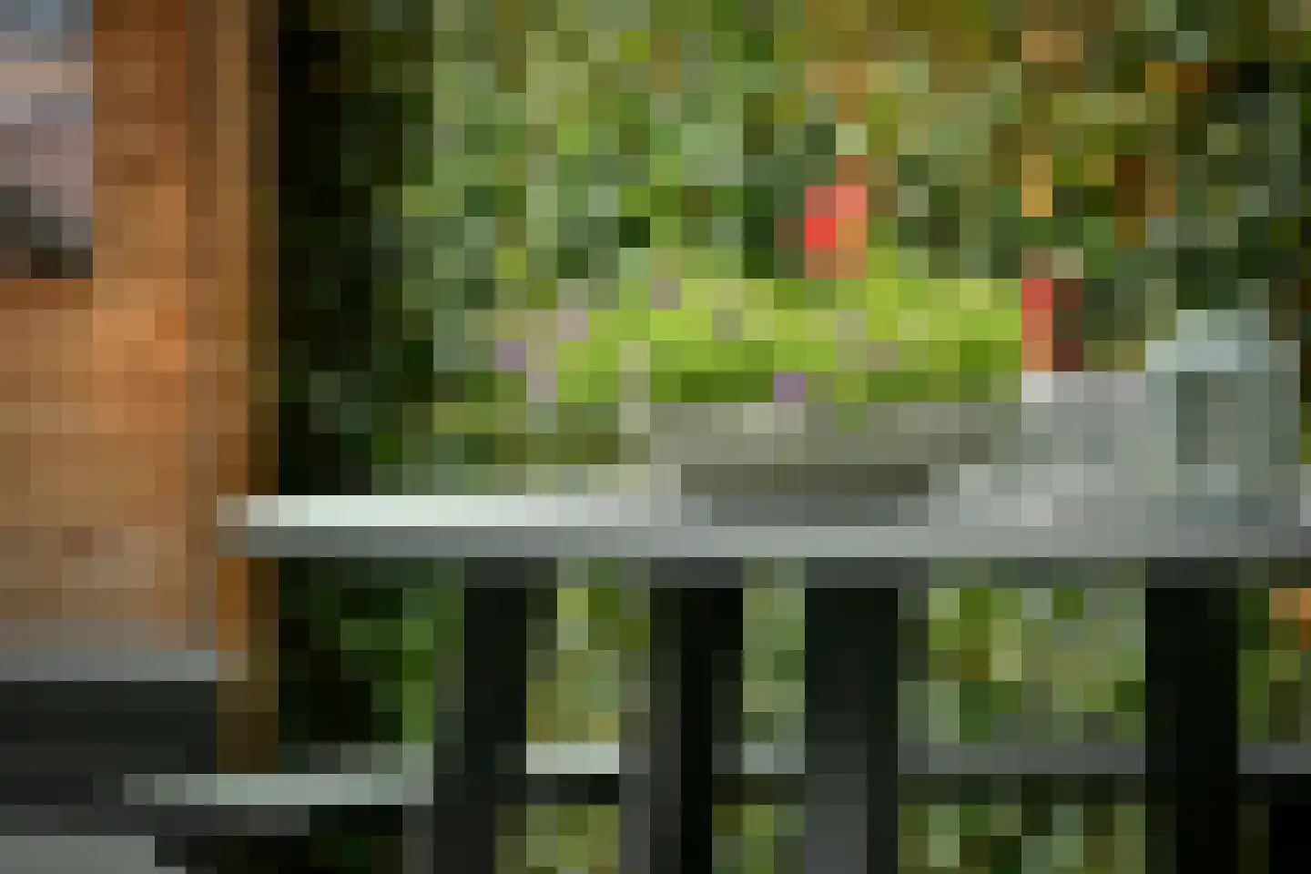 Nederhoven 44 Ouderkerk aan de Amstel thumbnail 11