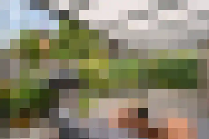Nederhoven 8 Almelo thumbnail 24