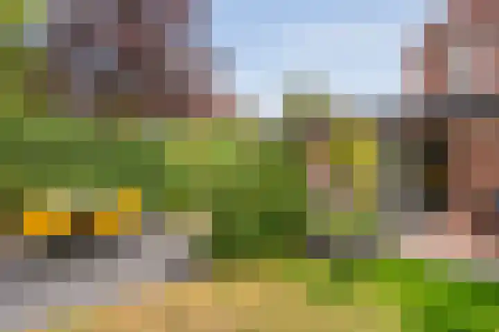 Nederhoven 8 Almelo thumbnail 25