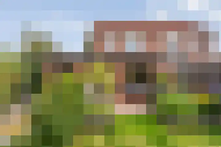 Nederhoven 8 Almelo thumbnail 26