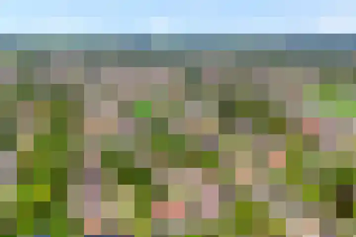 Nederhoven 8 Almelo thumbnail 27
