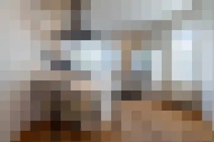 Nederhuizinge 24 Mierlo thumbnail 12